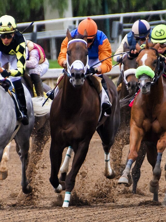 Preakness Stakes 2024